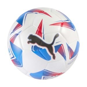 Puma Cumbre CONMEBOL Copa América 2024 Soccer Ball